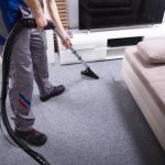 DIY vs. Pro: The Great Carpet Cleaning Debate!