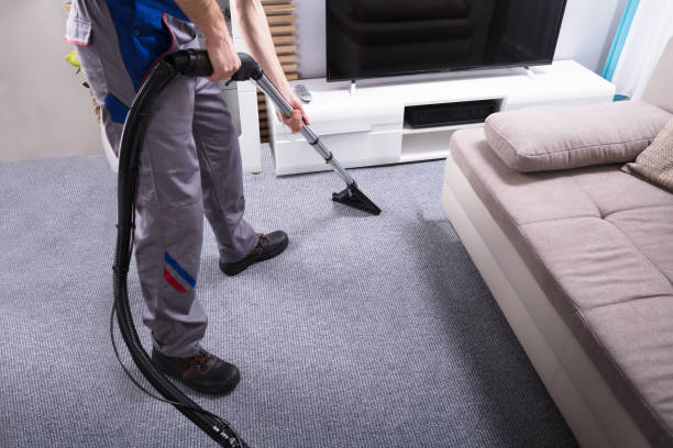 DIY vs. Pro: The Great Carpet Cleaning Debate!